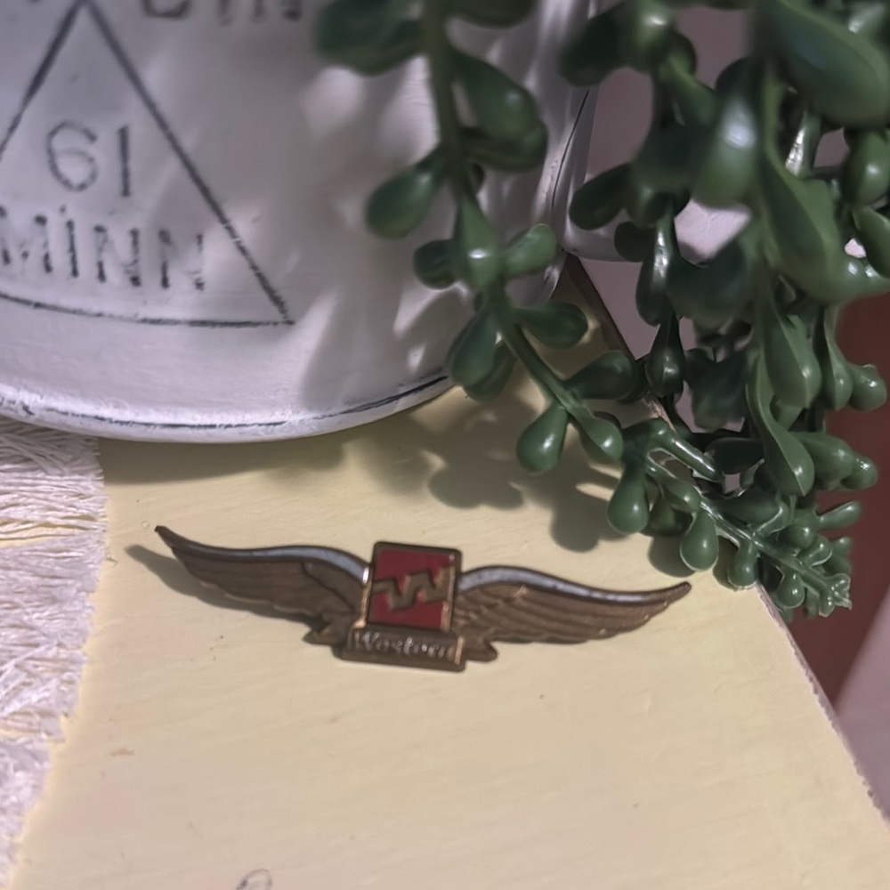 Western Airlines plastic junior Pin
